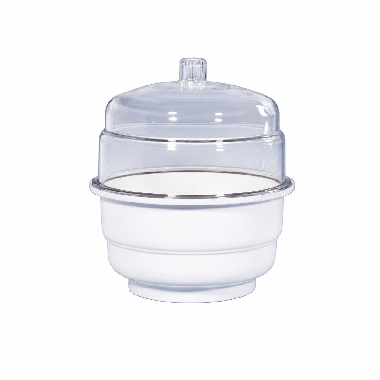 Desiccator (Plain)