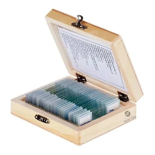 Slide Box